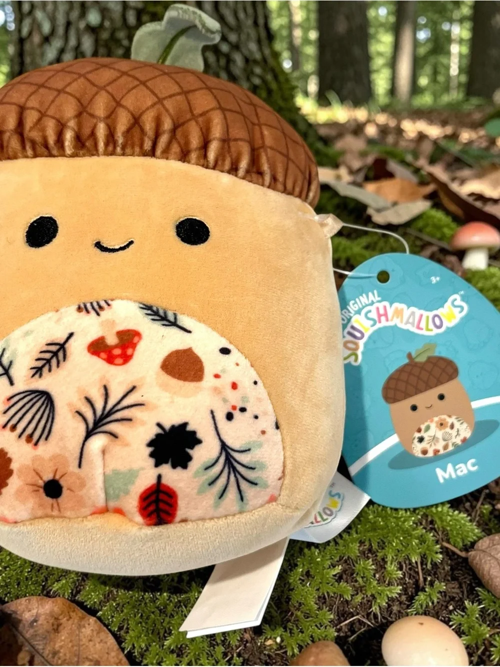 Squishmallows Woodland Lot 3 Mac Acorn Jason Donkey Hans Hedgehog NWT Plush 5”